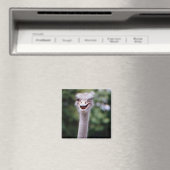 One Happy Ostrich Kühlschrank Magnet (In Situ (Geschirrspüler))