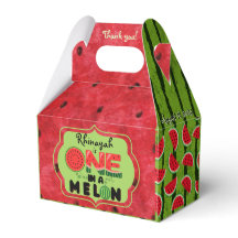 One in a Melon Watermelon First Birthday Foto