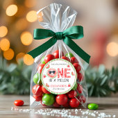 One in a melon watermelon summer 1st Birthday Runder Aufkleber