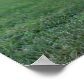 "One Leged Pose", Rooster Poster (Ecke)