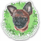 One Lucky Brussels Griffon Funny St Patrick Dog Aufkleber (Vorderseite)