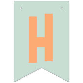 One Lucky Duck & Bubbles Erster Geburtstag Pastete Wimpelkette (Zweite Fahne)