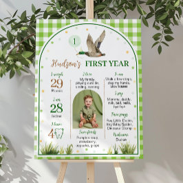 One Lucky Duck Green Gingham Birthday Milestone Poster