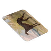 One of George Lane Fox's Winning Greyhounds: the B Magnet (Rechte Seite)