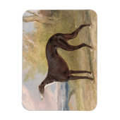 One of George Lane Fox's Winning Greyhounds: the B Magnet (Vertikal)