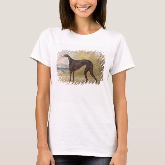 One of George Lane Fox's Winning Greyhounds: the B T-Shirt (Vorderseite)