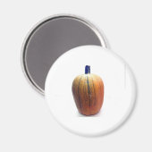 One Orange Pumpkin Magnet (Vorderseite/Rückseite)