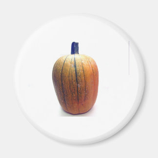 One Orange Pumpkin Magnet