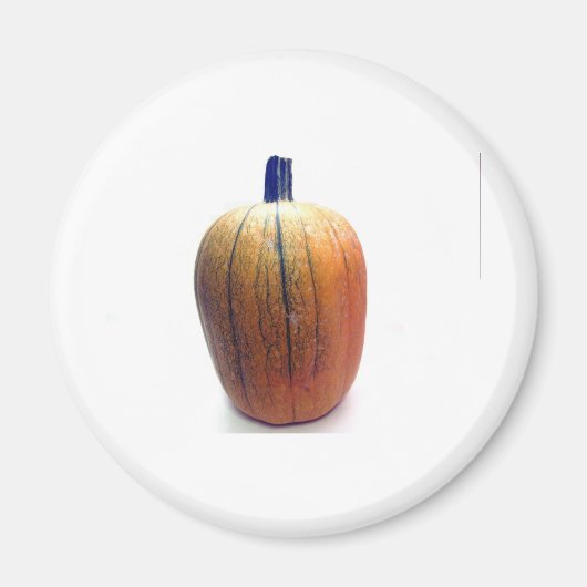 One Orange Pumpkin Magnet (Vorne)