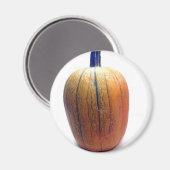 One Orange Pumpkin Magnet (Vorderseite/Rückseite)
