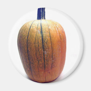 One Orange Pumpkin Magnet