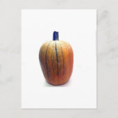 One Orange Pumpkin Postkarte (Vorderseite)