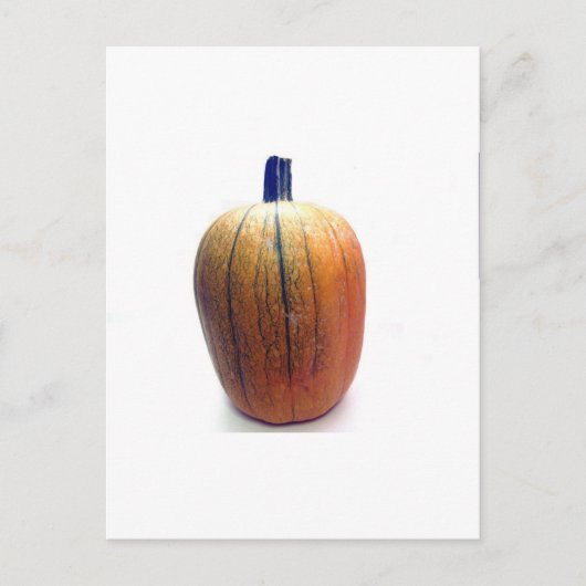 One Orange Pumpkin Postkarte (Vorderseite)