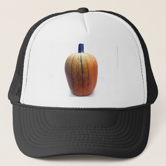 One Orange Pumpkin Truckerkappe (Vorderseite)