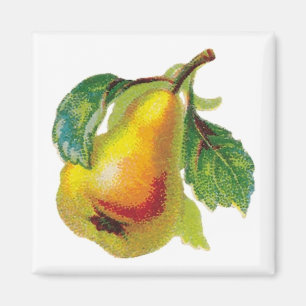 One Pear Magnet