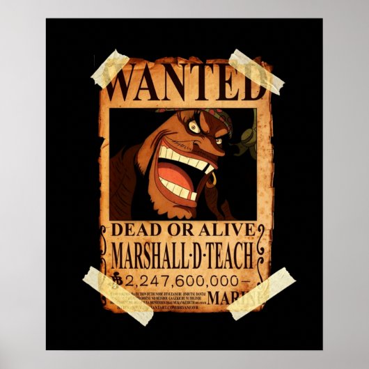 One Piece Blackbeard Bounty Poster (Vorne)