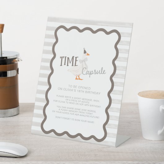 One Silly Goose 1st Birthday Time Capsule Sign Sockelschild (In SItu)