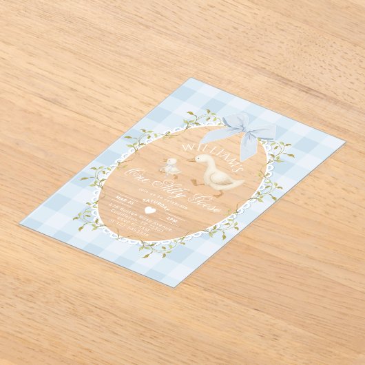 One Silly Goose Boy 1st BIrthday Gingham Whimsical Acryleinladungen (Ablage )