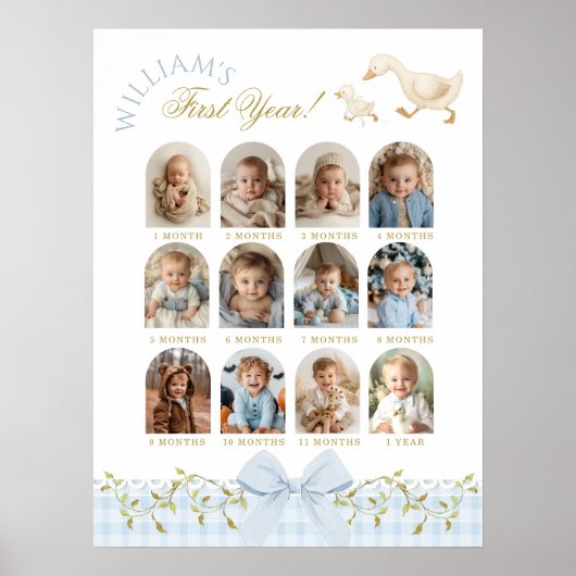 One Silly Goose Boy 1st Birthday Photo Milestone Poster (Vorne)