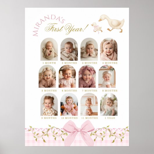 One Silly Goose Girl 1st Birthday Photo Milestone Poster (Vorne)
