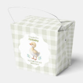 One Silly Goose Green Gingham Baby First Birthday Geschenkschachtel (Rückseite)