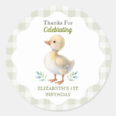 One Silly Goose Green Gingham Baby First Birthday Runder Aufkleber (Vorderseite)