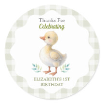 One Silly Goose Green Gingham Baby First Birthday