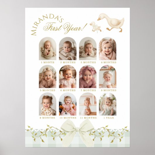 One Silly Goose Sage 1st Birthday Photo Milestone Poster (Vorne)