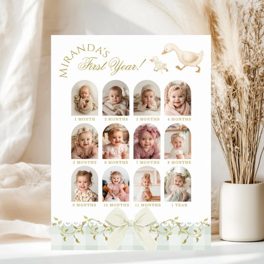 One Silly Goose Sage 1st Birthday Photo Milestone Poster