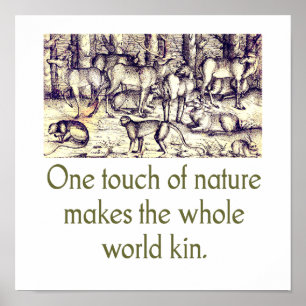 One Touch Of Nature Poster