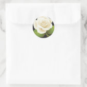 One White Rose Runder Aufkleber (Tasche)