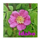 One Wild Rose - Idaho Fliese (Vorderseite)