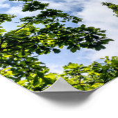 One World Trade Center Poster (Ecke)