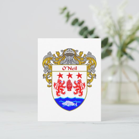 O'Neil Coat of Arms (Mantled) Postkarte (Stehend Vorderseite)
