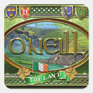 O'Neill-Familien-Fahne Quadratischer Aufkleber