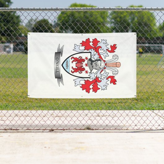 O'Neill-Wappen Banner (Insitu)