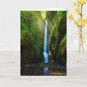 Oneonta Fälle Karte (Gelbe Blume)