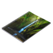 Oneonta Falls Notizblock (Linke Seite)