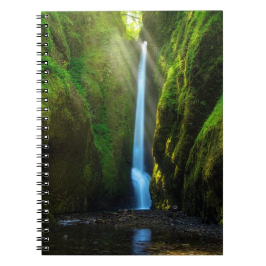 Oneonta Falls Notizblock (Vorderseite)