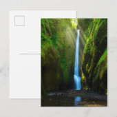 Oneonta Falls Postkarte (Vorne/Hinten)