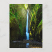 Oneonta Falls Postkarte (Vorderseite)
