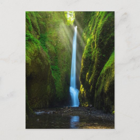 Oneonta Falls Postkarte (Vorderseite)