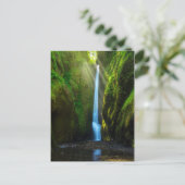 Oneonta Falls Postkarte (Stehend Vorderseite)