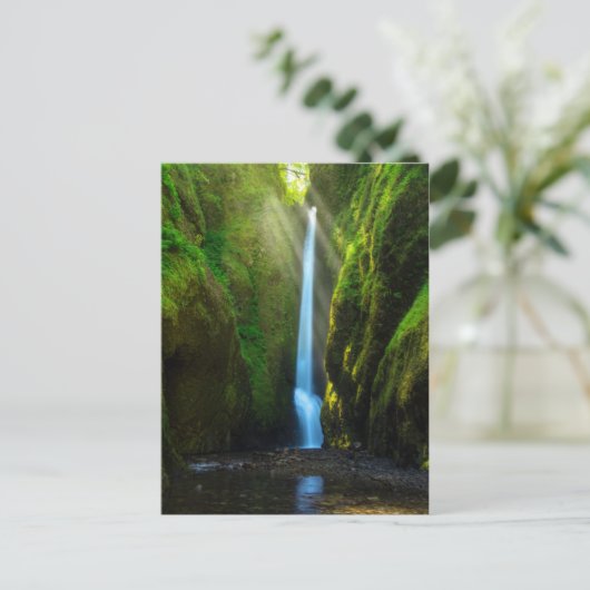 Oneonta Falls Postkarte (Stehend Vorderseite)