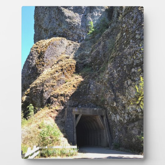 Oneonta-Gorgentunnel Fotoplatte (Vorderseite)