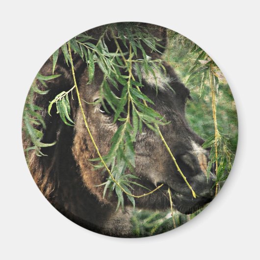 Onery Magnet (Vorne)