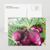 Onion Bundle Postkarte (Vorne/Hinten)