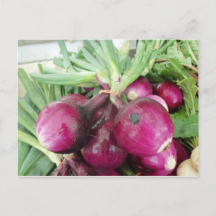 Onion Bundle Postkarte