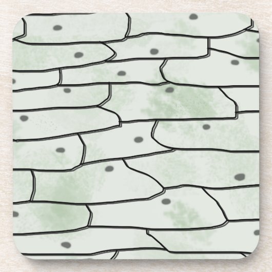 Onion Cells Getränkeuntersetzer (Vorderseite)