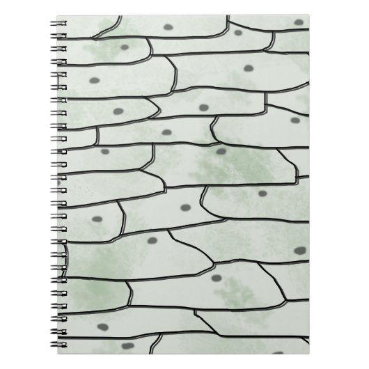 Onion Cells Notizblock (Vorderseite)